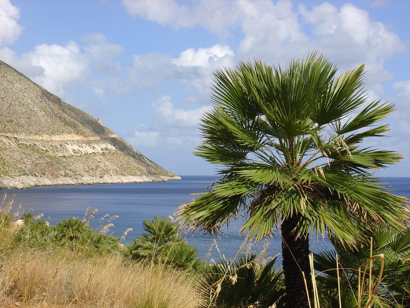 Scopello